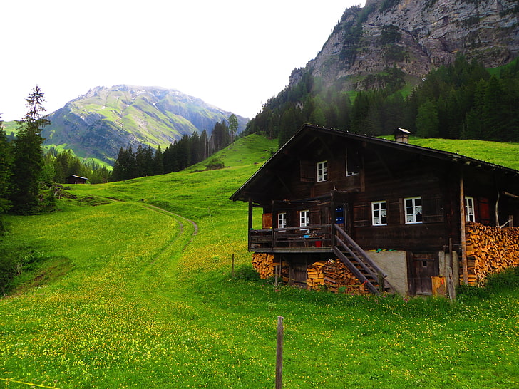 İsviçre, Lenk, dağ evi, yeşil, çimen, çam ağaçları, dağlar, Alpler, İsviçre Alpleri, Bernese Alpleri, HD masaüstü duvar kağıdı