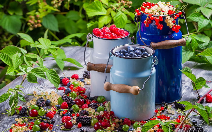 three assorted-color metal jars and fruits, summer, berries, food, Collection of wild berries, HD wallpaper