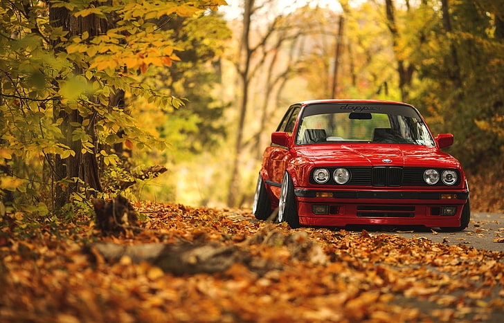 czerwony BMW sedan, ulica, jesień, las, liście, BMW, E30, Tapety HD