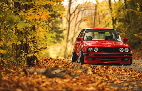 red BMW sedan, road, autumn, forest, leaves, BMW, E30, HD wallpaper HD wallpaper