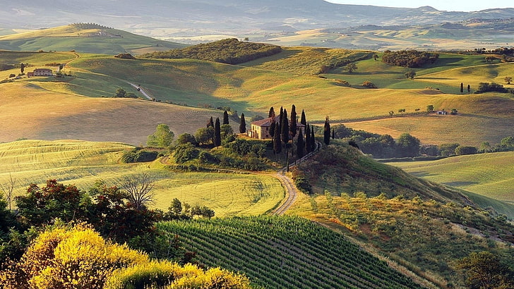 pohon berdaun hijau, alam, lanskap, Italia, lapangan, bukit, Tuscany, Wallpaper HD
