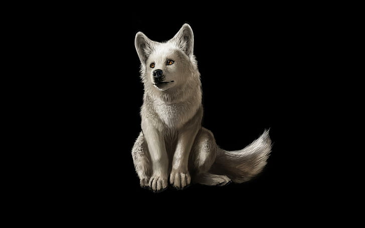 Little White Wolf, gray wolf, beautyful, predator, arctic, artwork, animals, HD wallpaper