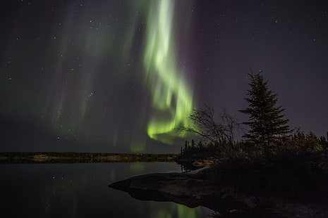 วอลล์เปเปอร์พื้นหลังเดสก์ทอป 4k aurora borealis, วอลล์เปเปอร์ HD HD wallpaper