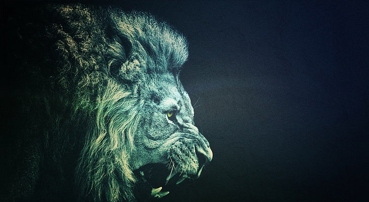 LION, lion digital wallpaper, Vintage, HD wallpaper