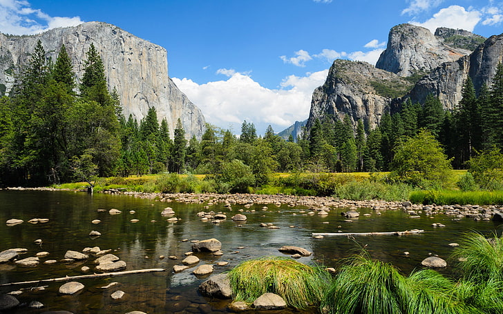 요세미티 밸리-국립 공원-캘리포니아-미국-산 강 강바닥 바위 산 숲 소나무와 데스크톱 벽지 HD-3840 × 2400, HD 배경 화면