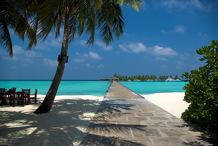 gray concrete dock, sand, beach, summer, palm trees, the ocean, the Maldives, HD wallpaper
