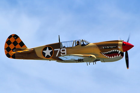 Samoloty wojskowe, Curtiss P-40 Warhawk, samoloty, wojsko, II wojna światowa, Tapety HD HD wallpaper