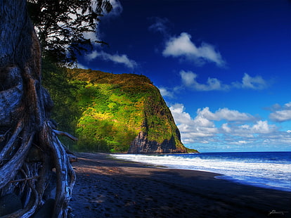 白と青空の下のビーチと緑の丘の近くの緑の木、ワイピオ、ワイピオ、緑の木、ビーチ、緑の丘、白、青い空、ワイピオ渓谷、ハマクア地区、大きな島、ククイハエレ、ハワイ、休暇、旅行、熱帯、日、太陽、空高く、高いビュー、視覚、降下、雲、木の幹、黒い砂、水、海景、海岸、丘陵、風景、波、海、北太平洋、屋外、自然、植生、オリンパスe5、瑞子、偏光フィルター、美しい、驚くべき、壮大な、素晴らしい、栄光の、好きな色、カラー写真、画像、写真、最高の、素晴らしい、芸術、景観、エスケープ、素晴らしい、ポール、デックス、ジャック、海、海岸線、崖、岩-オブジェクト、風景、波、砂、空、青、 HDデスクトップの壁紙 HD wallpaper