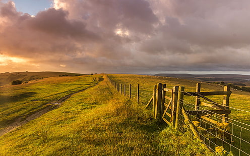 West Sussex, England, landscape, grass, fence, farm, sheep, West, Sussex, England, Landscape, Grass, Fence, Farm, Sheep, HD wallpaper HD wallpaper