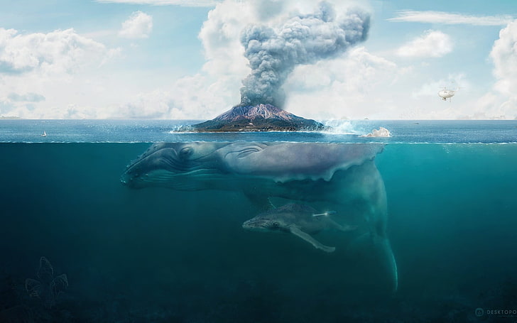 ilustración de la ballena azul, ballena, naturaleza, agua, arte digital, obra de arte, arte de fantasía, vista dividida, mar, Fondo de pantalla HD