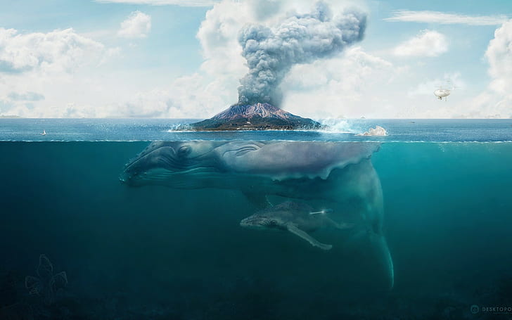 balena, vista divisa, opera d'arte, natura, mare, acqua, arte digitale, fantasy art, Sfondo HD