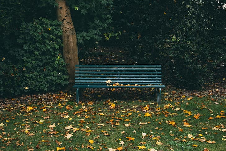 autumn, leaves, bench, Park, HD wallpaper