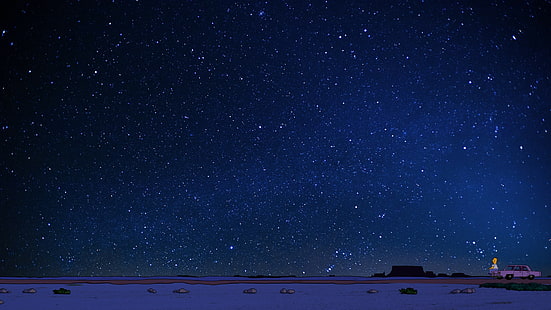Homer Simpson, yıldızlı gece, çöl, HD masaüstü duvar kağıdı HD wallpaper