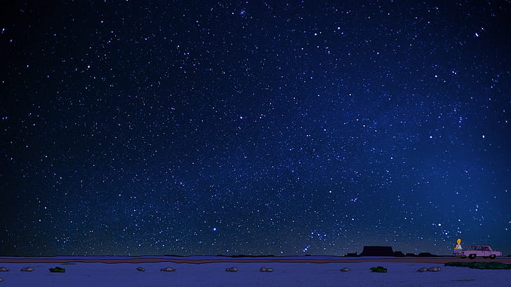 starry night, Homer Simpson, desert, HD wallpaper