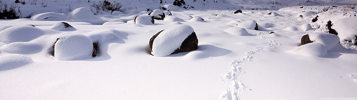 ziemia pokryta śniegiem, śnieg, zima, krajobraz, przyroda, Tapety HD