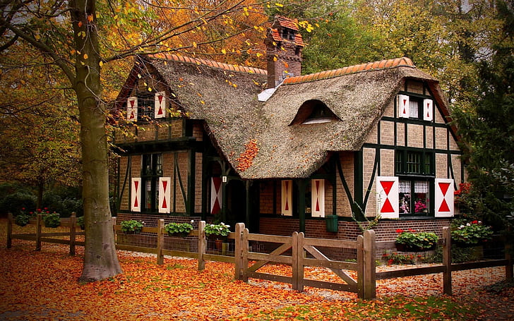 Красива природа къща, кафява дървена къща, къща, гора, природа, пейзажи, HD тапет