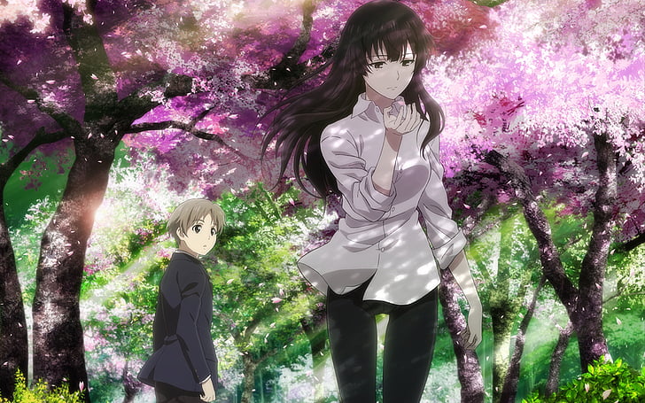 Anime, Beautiful Bones: la investigación de Sakurako, Sakurako Kujou, Fondo  de pantalla HD | Wallpaperbetter