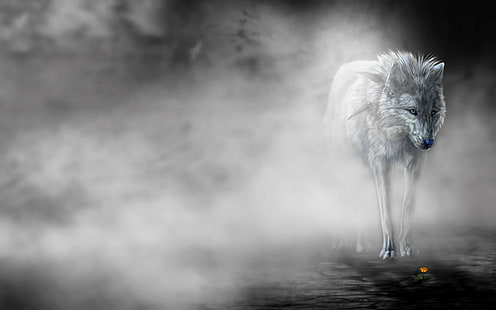 Lonely Wolf In The Mist, kesepian, bunga, serigala, kabut, 3d dan abstrak, Wallpaper HD HD wallpaper