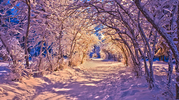 Natureza paisagens inverno neve estradas de calçada de Natal luzes brancas árvores imagens de Desktop, inverno, natal, imagens, luzes, natureza, imagens, luzes, natureza, estradas, calçada, árvores, inverno, árvores, HD papel de parede