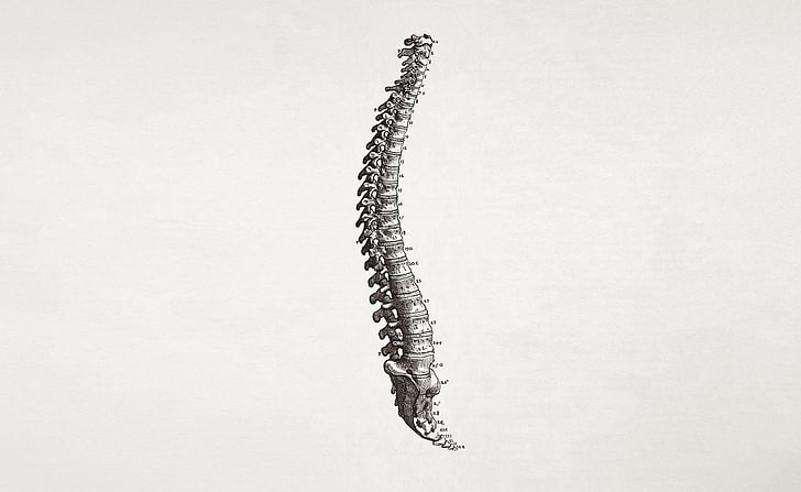 Spine, Aero, White, Spine, HD wallpaper