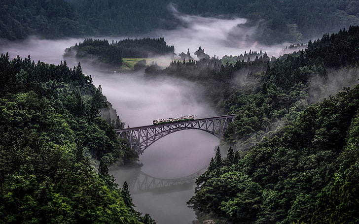 сив стоманен мост, природа, пейзаж, влак, мост, гора, мъгла, отражение, река, HD тапет