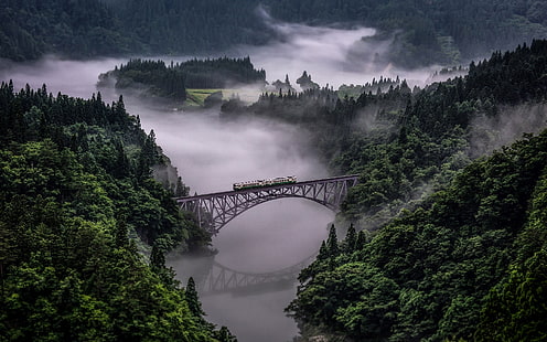 серый стальной мост, природа, пейзаж, поезд, мост, лес, туман, отражение, река, HD обои HD wallpaper