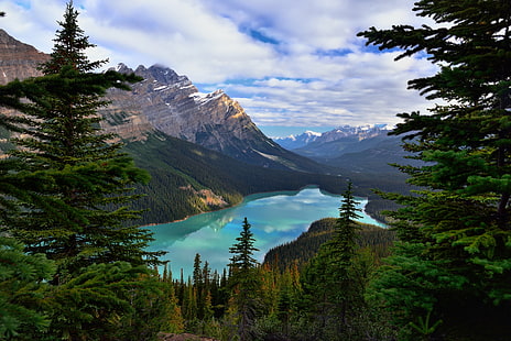 photo of pine trees near body of water, icefields parkway, icefields parkway, Framed, Icefields Parkway, photo, pine trees, body of water, Banff National Park, Blue Skies, Clouds, Caldron Peak, Canadian Rockies, Capture, NX2, Edited, Cloud, Reflections, Water  Color, Pro, Continental Divide, Day 5, Glacial Flour, Glacial Lake, Glacial Valley, Valley  Highway, Highway 93, Hillside, Trees, Lake, NW, Noyes, Mount Patterson, Weed, Mountains, Distance, Murchison, Group, Nature, Nikon D800E, Peyto Lake, Water, Turquoise, Waters, Walk, Overlook, Waputik Mountains, Waputik Range, Alberta, Canada, mountain, scenics, landscape, outdoors, mountain Peak, mountain Range, HD wallpaper HD wallpaper