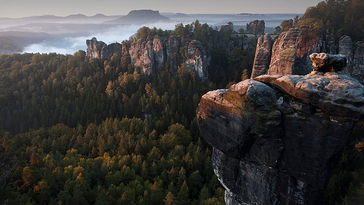 nature, landscape, forest, trees, rocks, mountains, clouds, mist, sunrise, Saxon Switzerland National Park, Elbe Sandstone Mountains, Germany, HD wallpaper