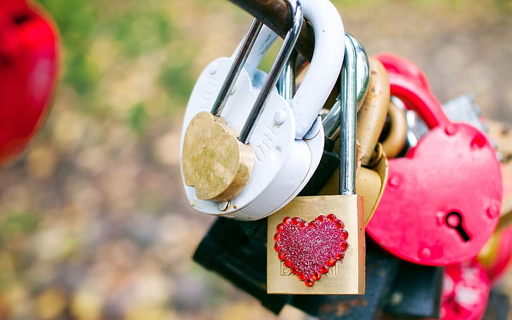 assorted-color padlocks, locks, diversity, colorful, love, heart, HD wallpaper