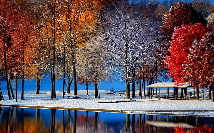 drzewa liściaste w różnych kolorach, przyroda, krajobraz, jesień, śnieg, drzewa, kolorowe, woda, ławka, Tapety HD