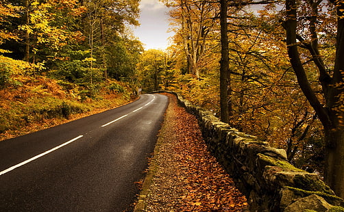 วอลล์เปเปอร์ HD Autumn Road, ฤดูกาล, ฤดูใบไม้ร่วง, ถนน, วอลล์เปเปอร์ HD HD wallpaper