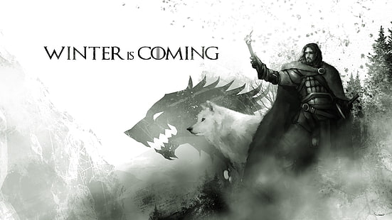 Gra o tron ​​Pieśń lodu i ognia Stark Jon Snow Wolf Direwolf HD, fantasy, śnieg, gra, ogień, lód i, wilk, trony, piosenka, stark, direwolf, jon, Tapety HD HD wallpaper
