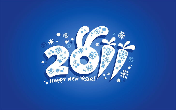 Souhaits de nouvel an 2011, salutations de bonne année 2011, 2011, voeux, nouvelle année, Fond d'écran HD