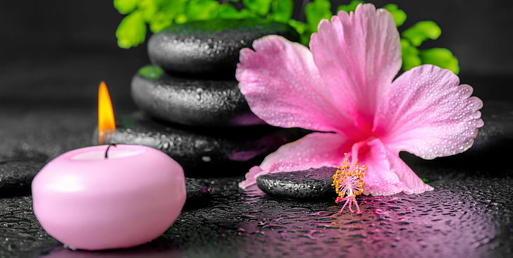 flowers, Spa, background, candles, spa stones, HD wallpaper