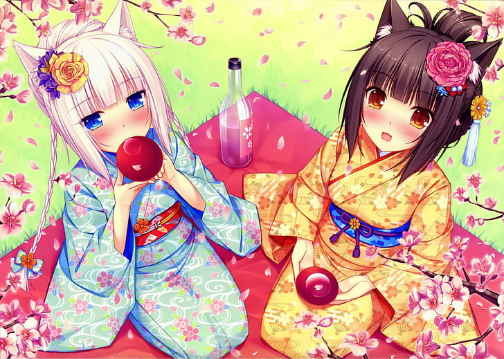 neko works animal ears picknick cherry blossom neko para nekomimi chocolat neko para vanilla neko para anime girls anime, HD wallpaper