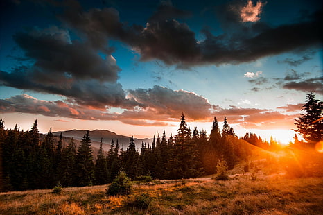 Karpaten, Ukraine, Karpaten, Ukraine, Wald, Natur, Landschaft, Schönheit, Berge, HD-Hintergrundbild HD wallpaper