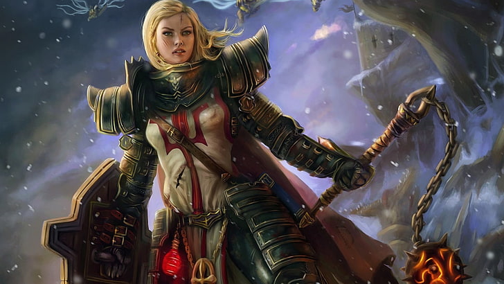 cyfrowa tapeta kobiecych postaci z gry, ilustracja kobiety ze zbroją, rycerz, fantastyczna zbroja, Diablo III, krzyżowcy, gry wideo, Johanna, Tapety HD
