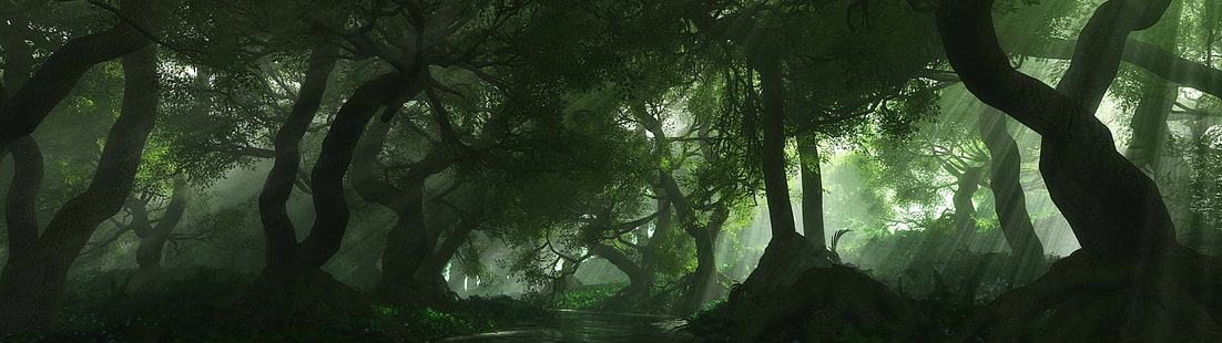 grünblättrige Bäume, Mehrfachanzeige, Wald, Fluss, Grün, HD-Hintergrundbild HD wallpaper