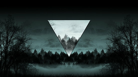 Abstrakt, Polyscape, Nebel, Natur, Nacht, Baum, Dreieck, HD-Hintergrundbild HD wallpaper