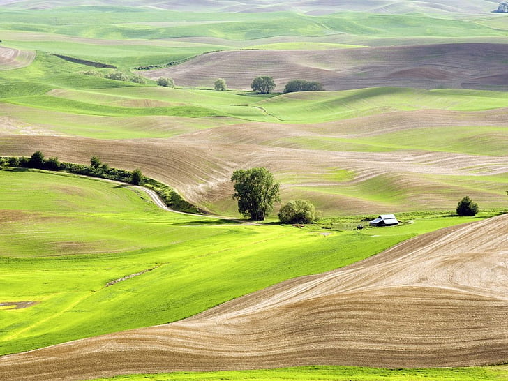 الحقول الخضراء منظر واسع على المناظر الطبيعية المزروعة Nature Fields HD فن ، طبيعة ، أخضر ، الحقول، خلفية HD