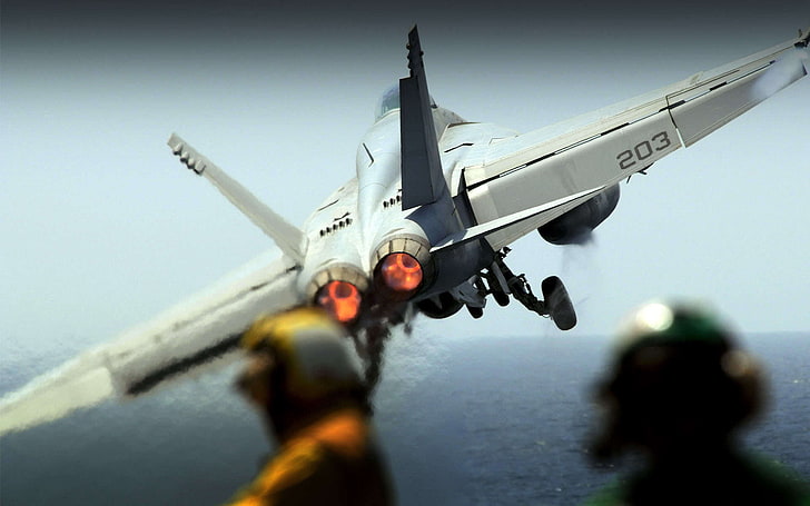 เครื่องบินขับไล่ไอพ่นสีเทาทหาร McDonnell Douglas F / A-18 Hornet เครื่องบินทหารยานพาหนะเครื่องบิน, วอลล์เปเปอร์ HD