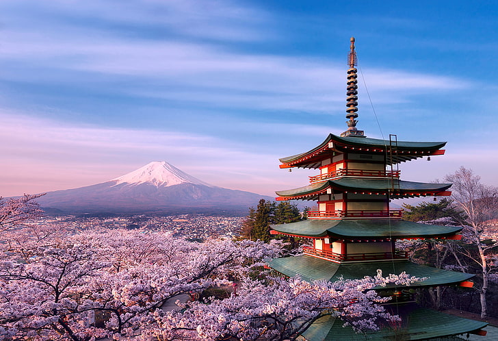 classic Chinese building, trees, flowers, house, mountain, spring, morning, Japan, Sakura, April, pagoda, architecture, Fuji, stratovolcano, Mount Fuji, Zhong practice continued whenever danger Tower, HD wallpaper