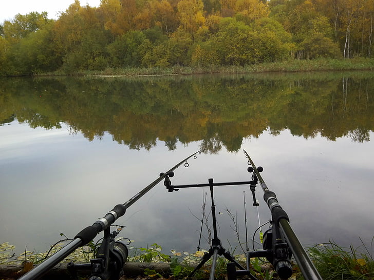 musim gugur, ikan, ikan, memancing, danau, refleksi, sungai, olahraga, air, Wallpaper HD