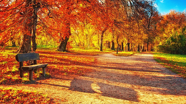 Есенен парк, червени листа, дървена пейка, слънчева светлина, Есен, парк, червен, листа, дърво, пейка, слънчева светлина, HD тапет