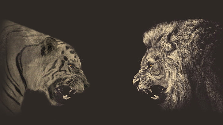 тигр и лев цифровые обои, животные, фото манипуляции, сепия, лев, тигр, HD обои