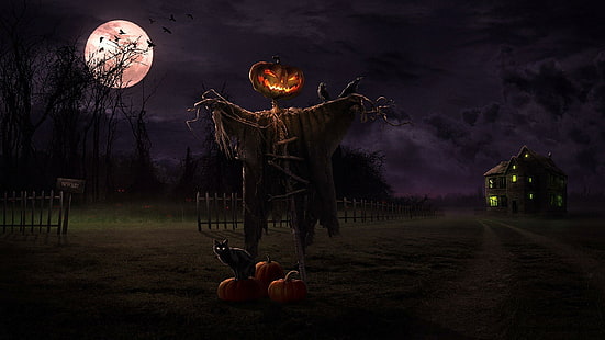 Halloween-Vogelscheuche 2014, Halloween, Halloween 2014, Vogelscheuche, Feiertag Halloween, HD-Hintergrundbild HD wallpaper