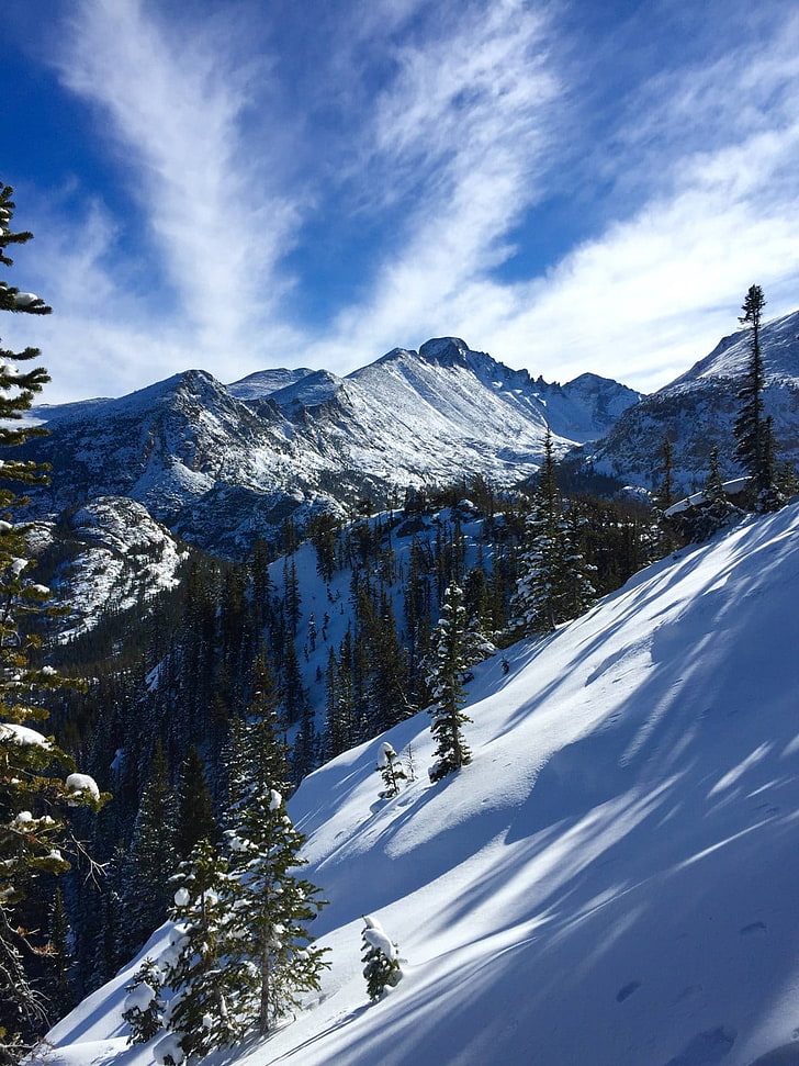 заснежен хълм, планини, сняг, дървета, Колорадо, Национален парк Rocky Mountain, HD тапет, тапет за телефон