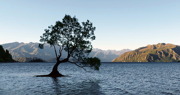 zielone drzewo liściaste na zbiorniku wodnym w pobliżu skalistej góry pod błękitnym i białym niebem, jezioro wanaka, nz, jezioro wanaka, nz, drzewo, jezioro Wanaka, NZ, zielony liść, zbiornik wodny, góra skalista, białe niebo, sceneria, pejzaż wodny, woda, Lumix FZ1000, domena publiczna, poświęcenie, CC0, oznaczone geograficznie, zdjęcia, jezioro, góra, natura, krajobraz, scenics, niebo, Tapety HD HD wallpaper