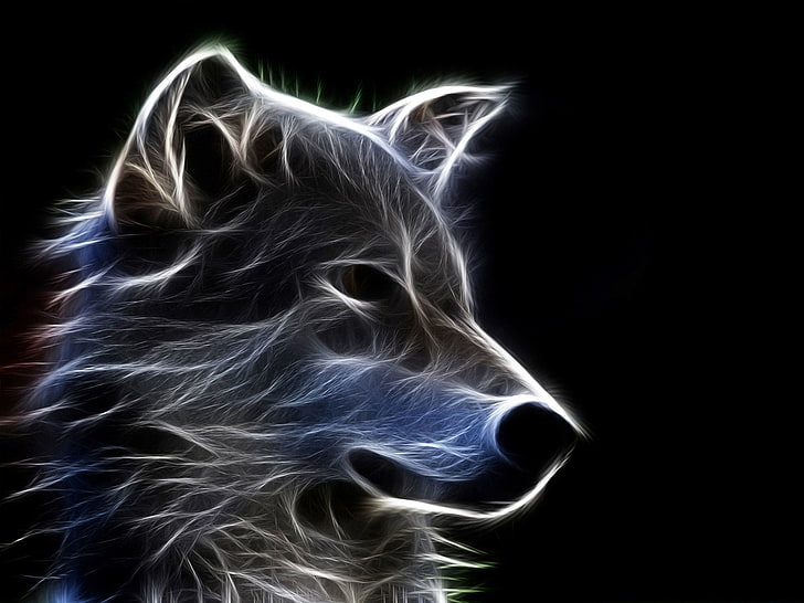 늑대 벽지, 동물, 늑대, HD 배경 화면