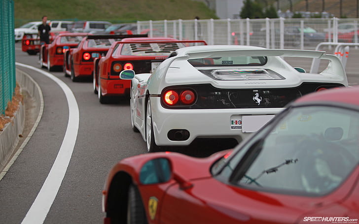 Ferrari F40 F50 HD, automóviles, ferrari, f40, f50, Fondo de pantalla HD